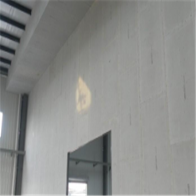 资阳新型建筑材料掺多种工业废渣的ALC|ACC|FPS模块板材轻质隔墙板